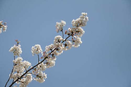 �Ķ��˸����äƵ������褵������