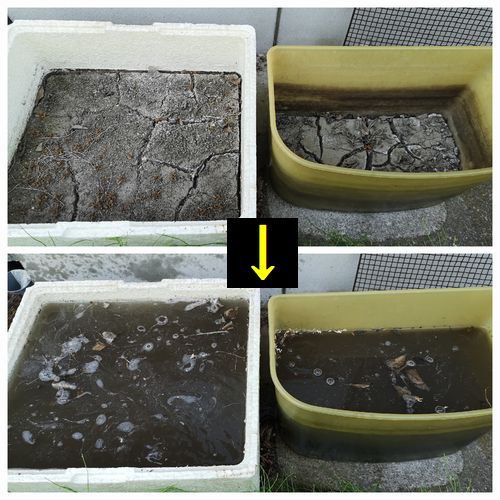 �������ˤϹȥ��֥ȥ��Ӥο���ˤ�������ޤ���������