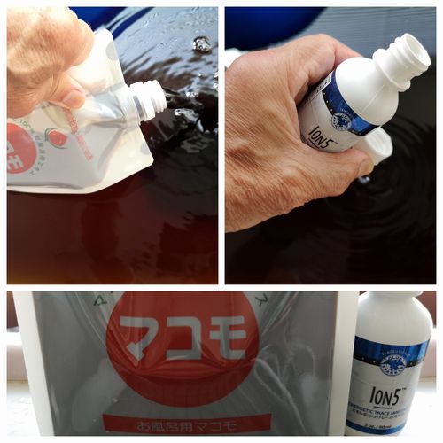 �֤���Ϥ�ѥޥ����1��åȥ�ȡ�Ion���פ�