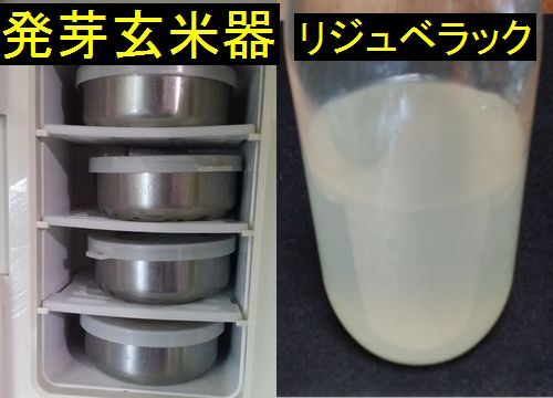 ���ȯ����ȤäƤ��ޤ���