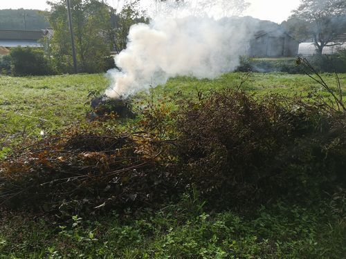 ÑòÄê»Þ¤ò¤É¤ó¤É¤ó¾è¤»¤Æ¤¤¤¤Þ¤¹