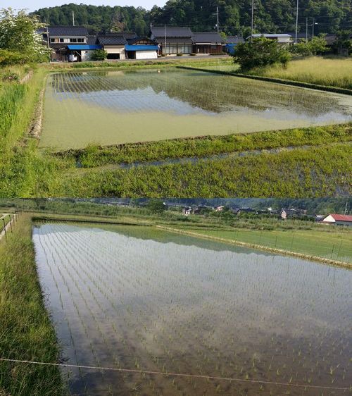 �����ַФ��ޤ��� (1)