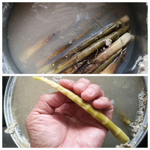 �����Υ��������򤬤��Ƥ��ޤ�