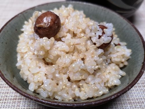 ȯ��⡼�ɸ��ƥ��Х�����餴��