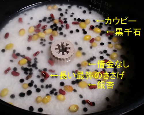����������Ƹ޹�˭���˴��դ���