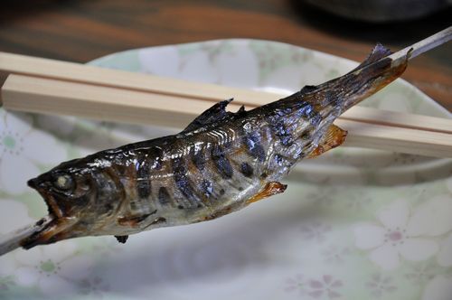 Â碹©·Ý½êÆÃÀ½¤Î¾Æ¥ä¥Þ¥á¤Ç¤¹