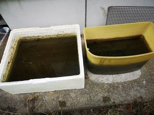 �ڤ򤫤��������Τǣ������ܤǤ�