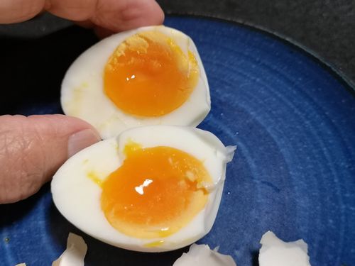 Ⱦʬ���ڤ�Ȥ���ʴ����Ǥ�