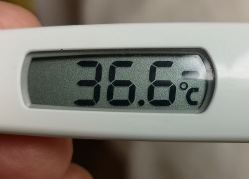 ��������ī�褦�䤯����.����
