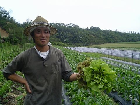 �椿�����Υ쥿��