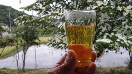 ¤ª¤·¤Ã¤³·ò¹¯Ë¡