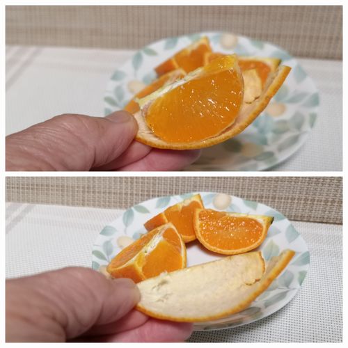 �֤��������ޡ�������