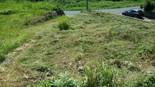 �����֤Ǵ��ä��ΤϤ������