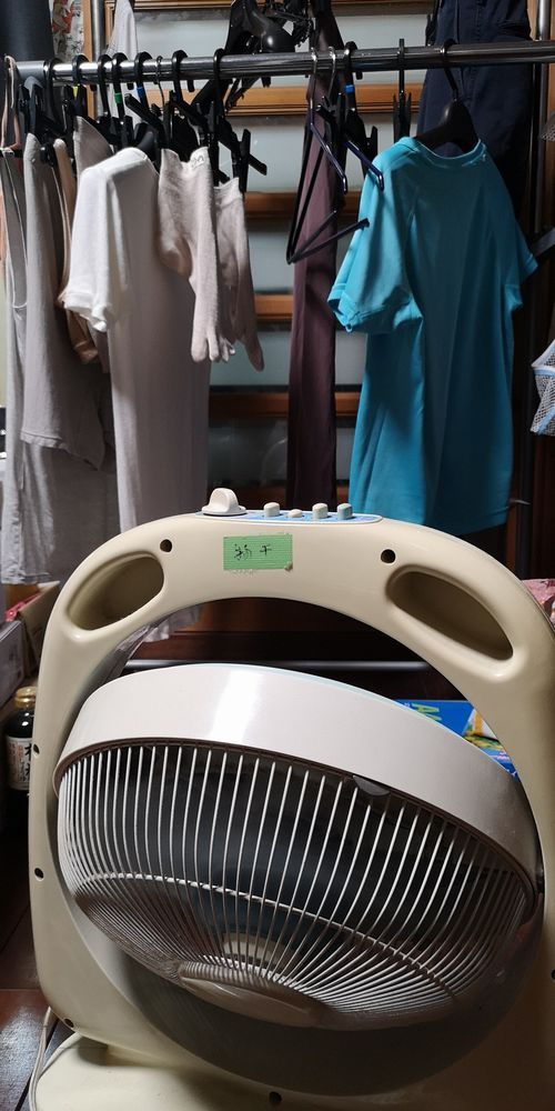 ¡Ö¿·ÎÓ¤ÎÂì¡×¤Ç¼¼Æâ´³¤·