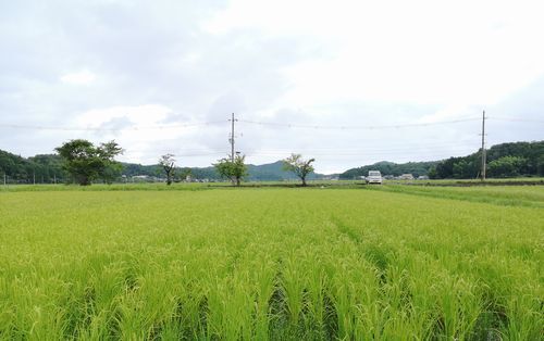 �벹�ϣ�����ʲ��ʤ��ˤϤޤ��ޤ�