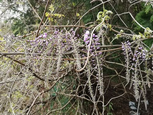 ��ǯ����٣������ᤤ���ֻϤ�Ǥ�