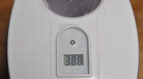 10月1日カウンターの数字は「388」です