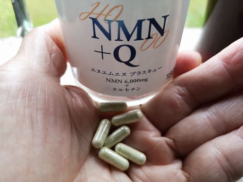 �����ץ������³���Ƥ��ޤ�