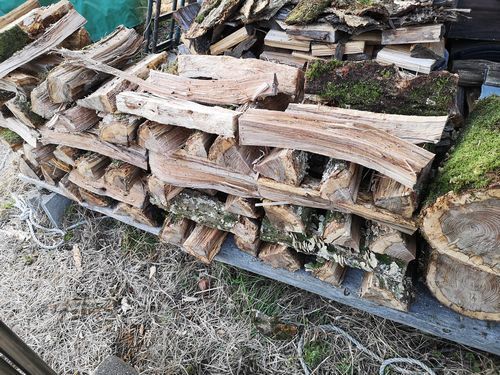 �빽��ʬ��¿���ΤǤ����ߤ�ǳ�䤻�뤫�ɤ���