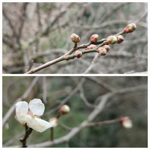 £±ÎؤÀ¤±¹²¤Æ¼Ô¤¬