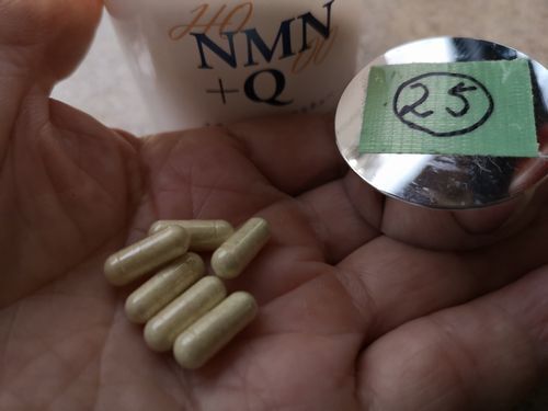 ���������ץ������³���Ƥ��ޤ���