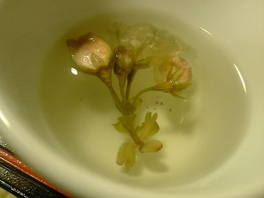 ���䤸����κ���