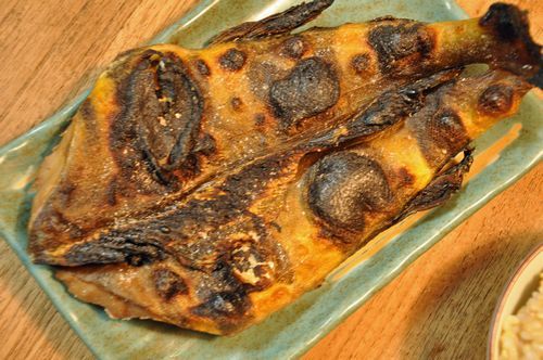 �餬�Ǥ��Ƥ��ޤ��ޤ���