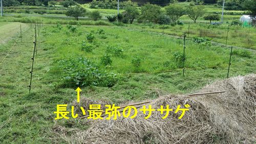 �����������������餬�����ʤΤ�