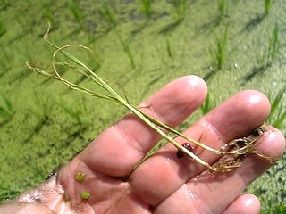 �塹���������̥ӥ�