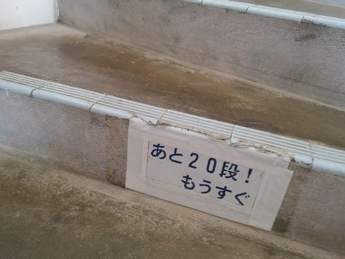 �����ʤ��������ʤ�쵤��