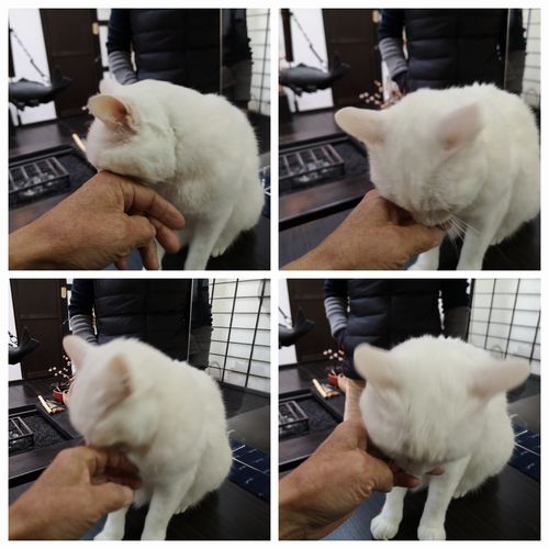 ����ⲿ����ˤ��ꤷ�Ƥ���ޤ�