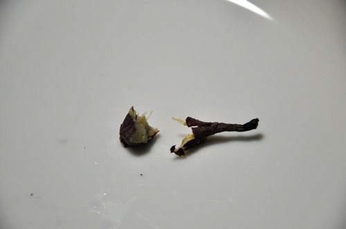 �ư��ξü���Ĥ�ޤ���