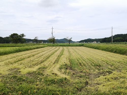 ��ǯ��̵���˼��Ϥ��뤳�Ȥ��Ǥ��ޤ���