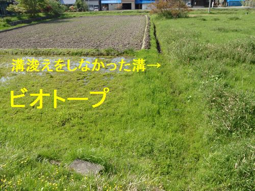 �ӥ��ȡ��פ⤢��ޤ�