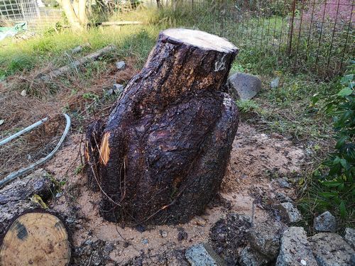 ¸½¤ì¤¿¤Î¤ÏÂÀ¤¤´´¤Ç¤¹