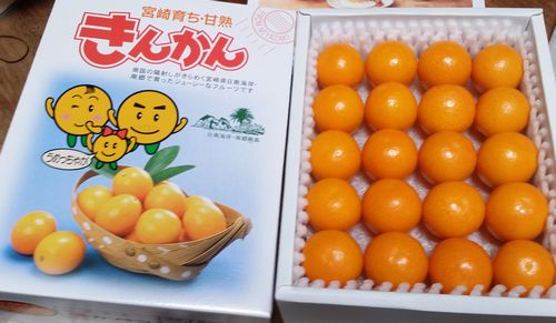 �֤���ä��㤬��