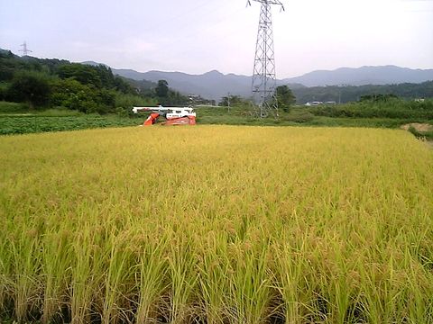 ��壳�����褦�䤯�𴢤꤬�Ϥޤ�ޤ���