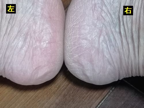 �����Ȥ���Ӽ¸��Ǥ�