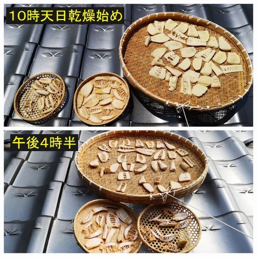 ²°º¬¤Î¾å¤Ç´¥¤«¤·¤Þ¤·¤¿