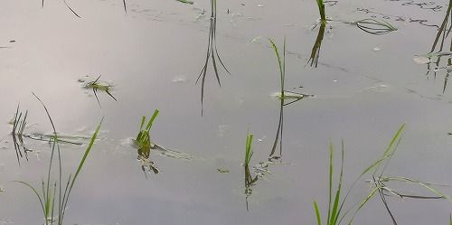 °ìÉôÍÕÀè¿©¤Ù¤é¤ì¤Þ¤·¤¿