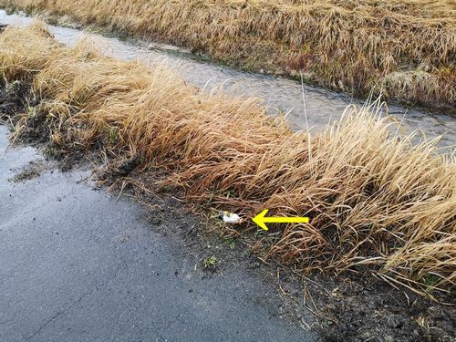 Ʊ¤¸ÉÕ¶á¤Ë¼Î¤Æ¤é¤ì¤Æ¤¤¤Þ¤¹