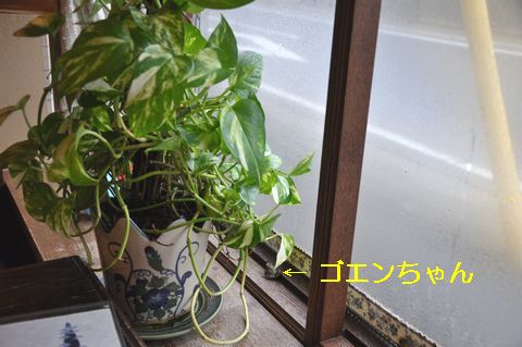 ����ư�Ǥ�