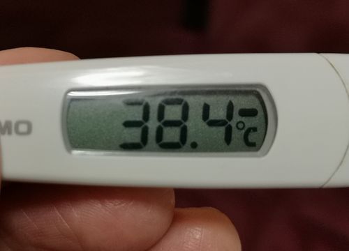 ����.����ޤǾ夬��ޤ���