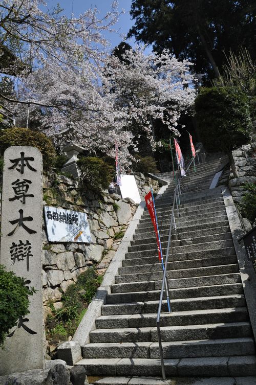 �ޤ����ʤ��Ф�ޤ�