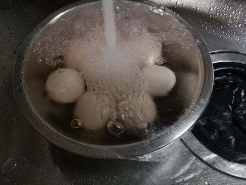 ή�����ޤ��ƽ���夬��
