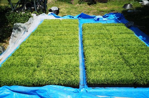 �ż�売�����Ф��ޤ���������