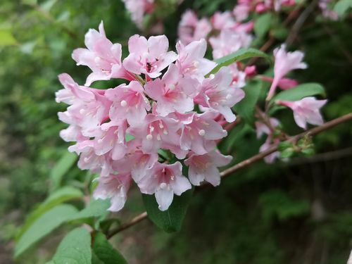 ��ë���ڡפ��餭�Ϥ�ޤ���