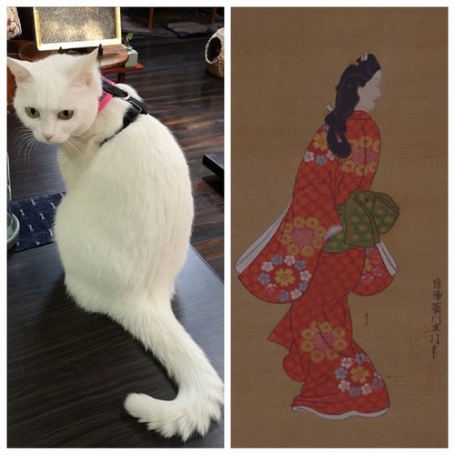 ���֤����Ͳ�򻲹ͤˤ����Τ��ʡ�