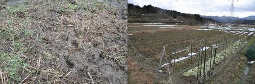 ����­�פ�����ޤ�