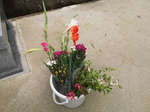 �ֽ������Ƥ�����פȸ��äƤ����������Τ�